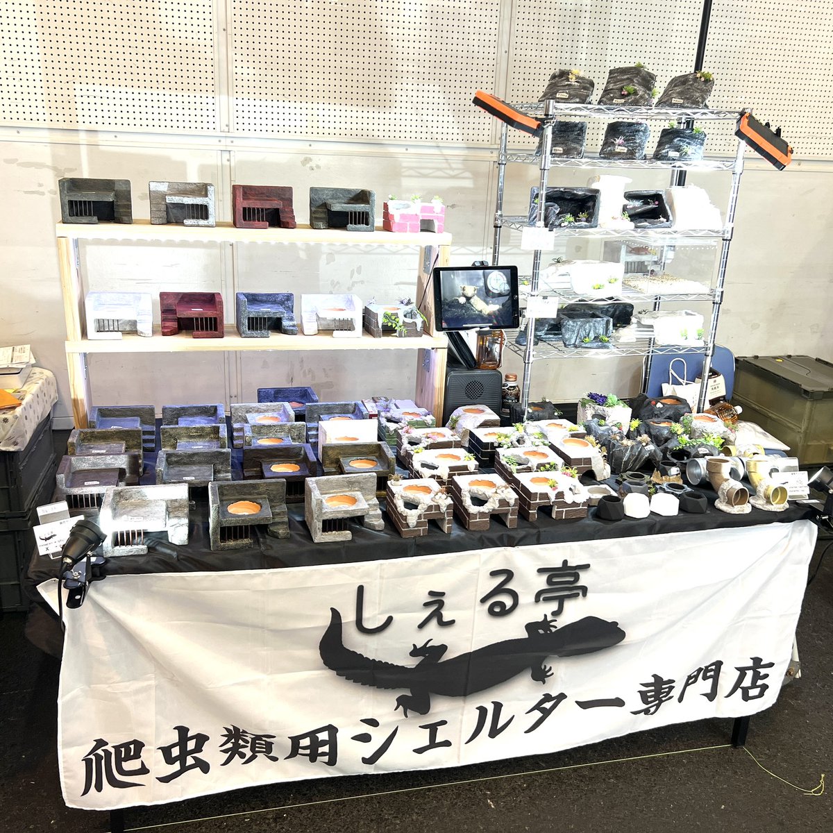 静レプ開場します🔥🔥🔥