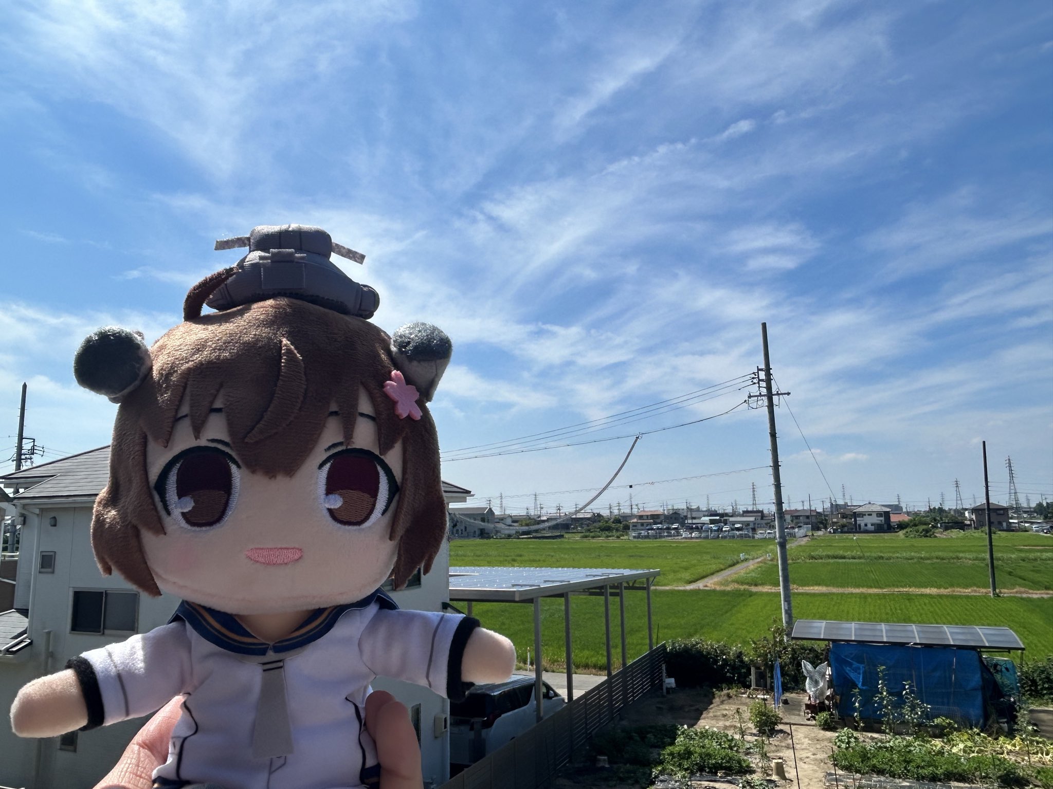 「七夕セール‼️」次は招き猫さん‼️にゃんちゃって「投扇興セット❗️」 七夕セール‼️」次は招き猫さん‼️にゃんちゃって「投扇興セット