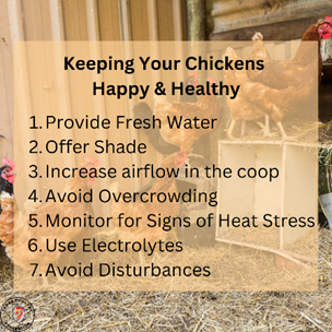 texaspoultry's tweet photo. Keeping your chickens happy and healthy is important! Check out our top tips for poultry care during the hot summer months. 🌞🐓 #PoultryCare #TexasPoultry https://t.co/khx9OIEW9T