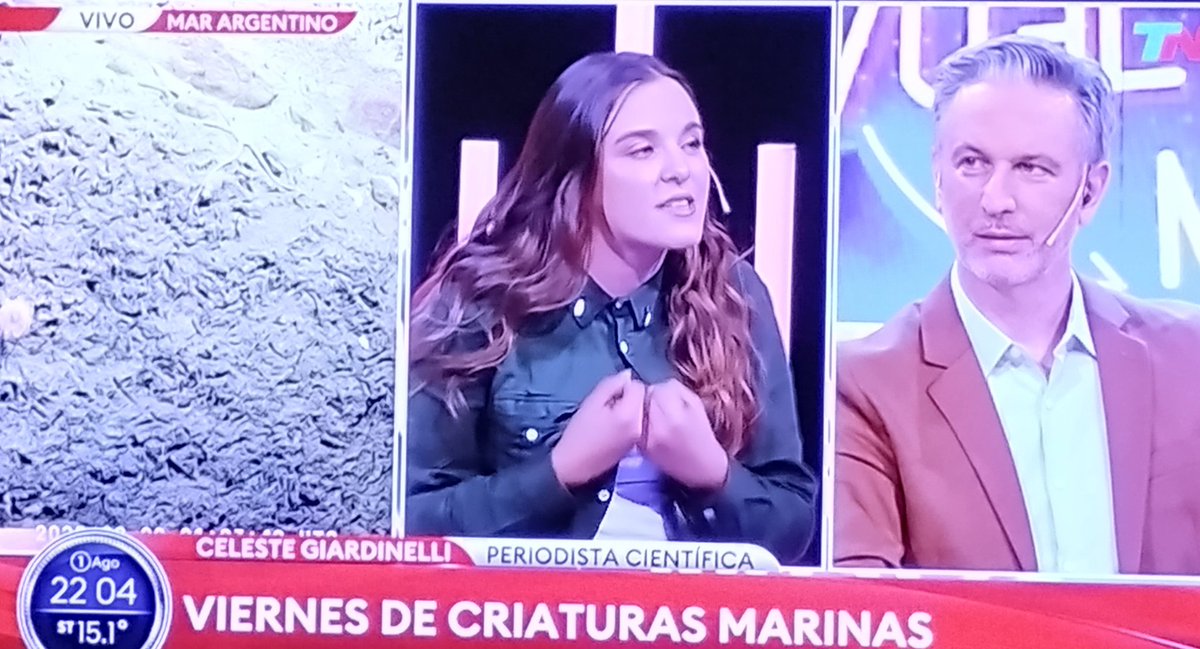 Clara Scagliarini (@claralatana) on Twitter photo Con cuánta pasión explica <a href="/GiardinelliC/">Celeste 🗺️</a> !!!
Un placer escucharte Celeste Giardinelli 👏🏼👏🏼👏🏼 Con cuánta pasión explica <a href="/GiardinelliC/">Celeste 🗺️</a> !!!
Un placer escucharte Celeste Giardinelli 👏🏼👏🏼👏🏼