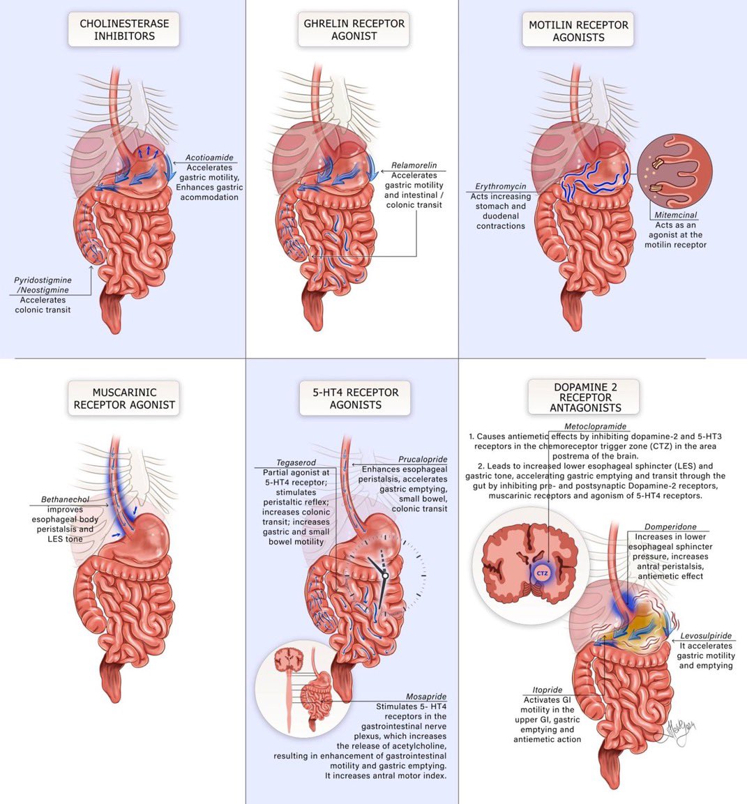 Paul_Wischmeyer's tweet image. How prokinetics work in the GI tract ⏩💡 #4KMedEd #GITwitter #MedTwitter
H/T @drkeithsiau
📸: onlinelibrary.wiley.com/doi/10.1111/nm…
