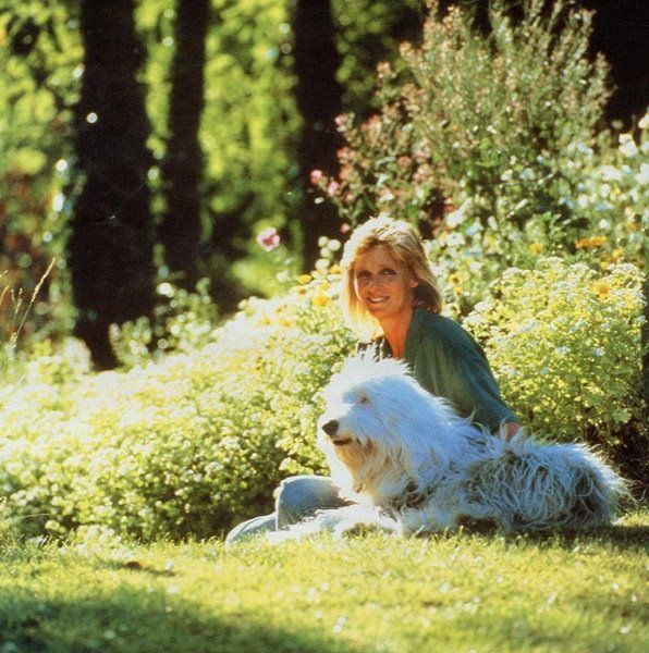 🍀 Welcome to the space dedicated to Linda McCartney — photographer, musician, and activist. Here I celebrate her art, her life, and the love she shared with those around her. ☀️ #LindaMcCartney