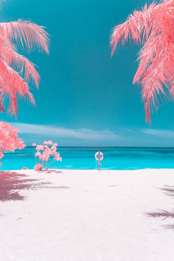 다모아 (@daallmoa) on Twitter photo 