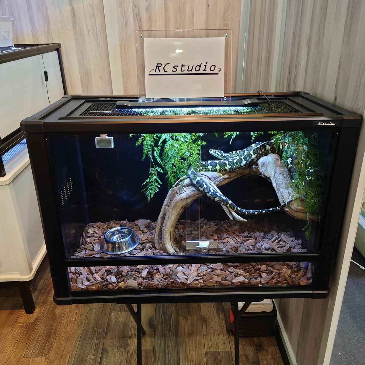 Rc studio ｱｰﾙｼｰｽﾀｼﾞｵ 爬虫類ｹｰｼﾞﾒｰｶｰ tweet media