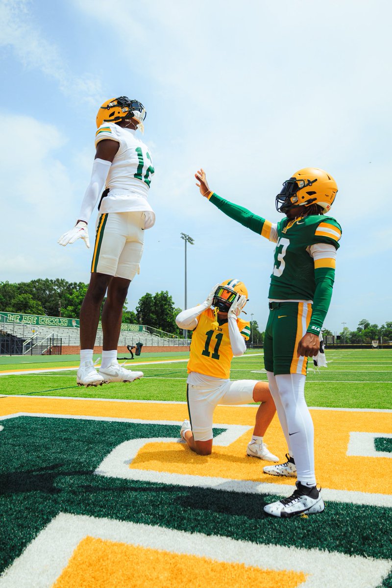 BrayGotHands's tweet image. #BullDawgEnergy 💡💚💛
@ceciliafootball
