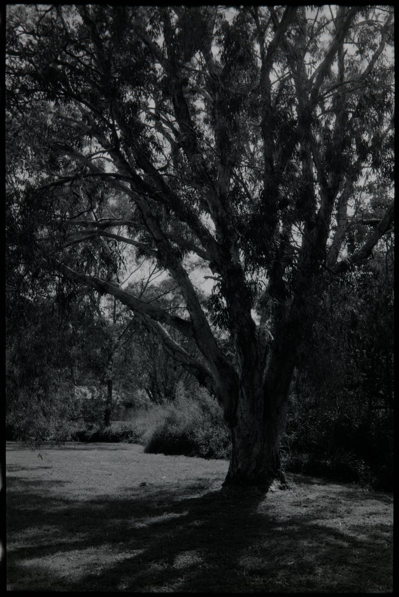 flowerworks 🌻🐈 tweet media