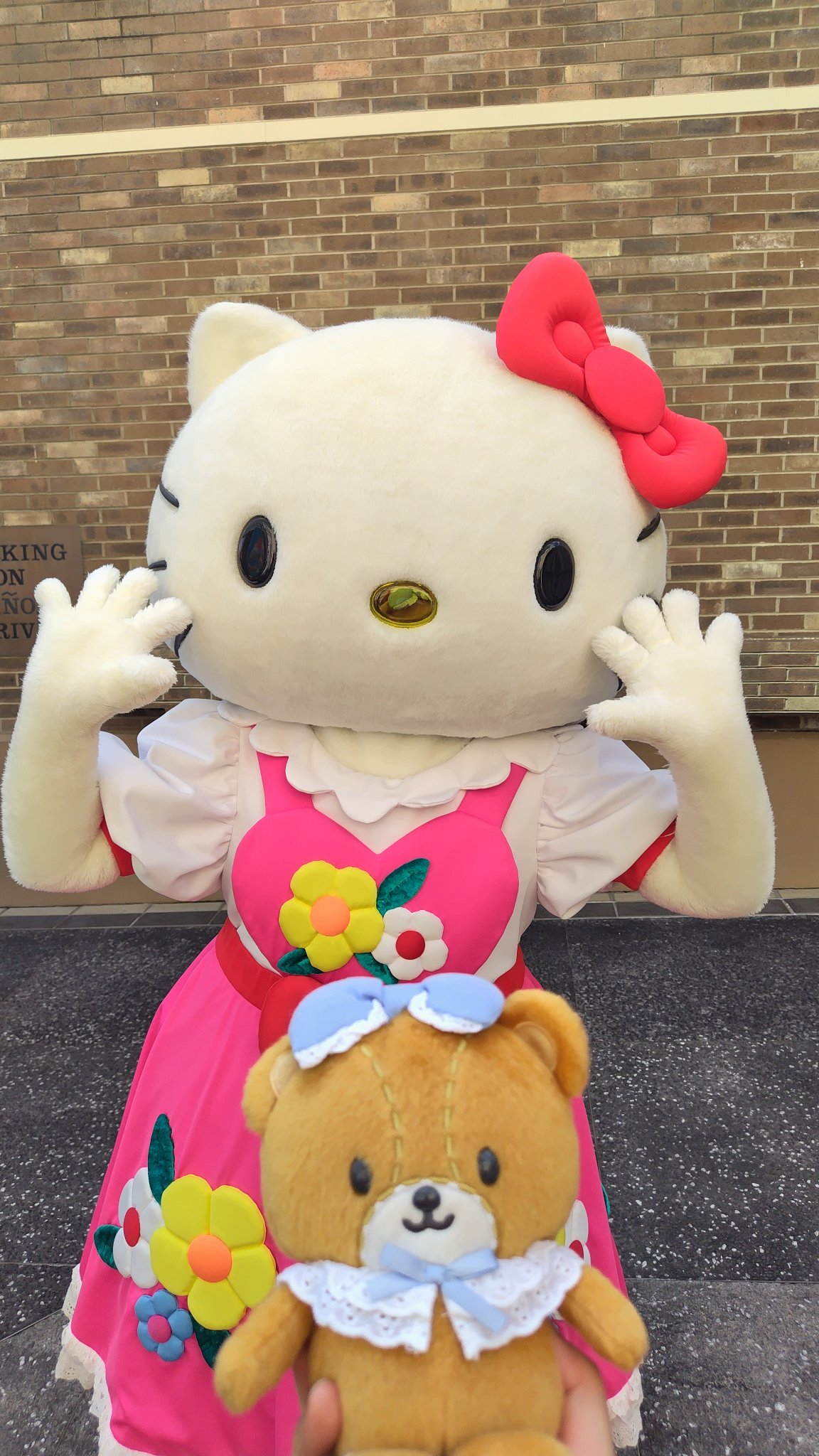KITTY LOVE🌈 通知不調💧 on X: 