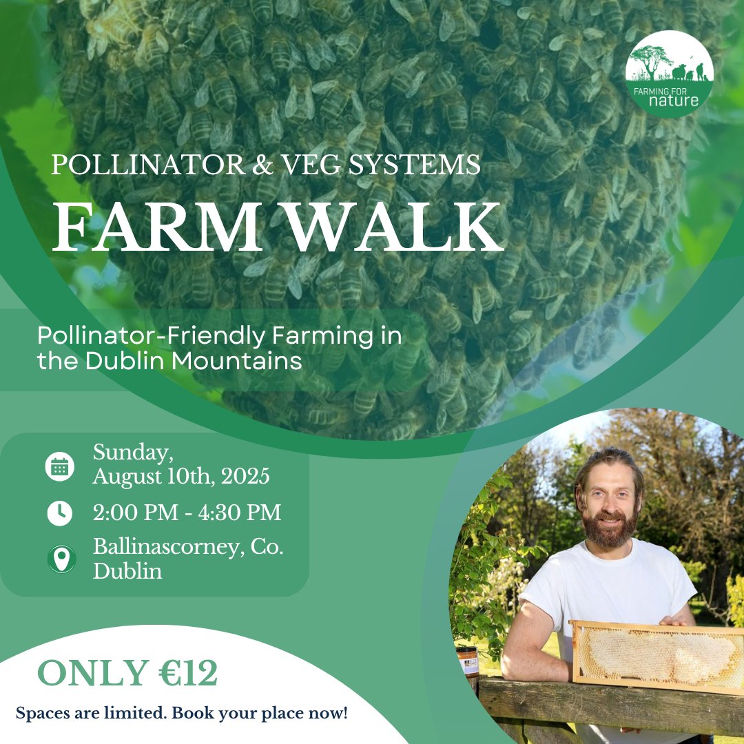 farmfornature's tweet image. 🌿 Organic veg, bees &amp;amp; wildlife corridors: Walk with Olly Nolan on 10 Aug in Dublin Mountains.
🎟️ €12 → f.mtr.cool/egqxxrprek

#FarmWalks2025 #Beekeeping #FarmForNature