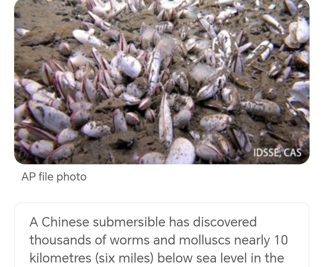 StreetTreck's tweet image. ♻️ #Chinese #submersible has #discovered #thousands o #worms n #molluscs nearly #10kilometers #belowsealevel in the #Marianatrench🛤️

#WesternPacificOcean #Chinesesubmersible #striver #fendouzhe #chemosynthesis #StreetTreck🛤️ 
m.timesofindia.com/articleshow/12…
timesofindia.indiatimes.com/home/environme…