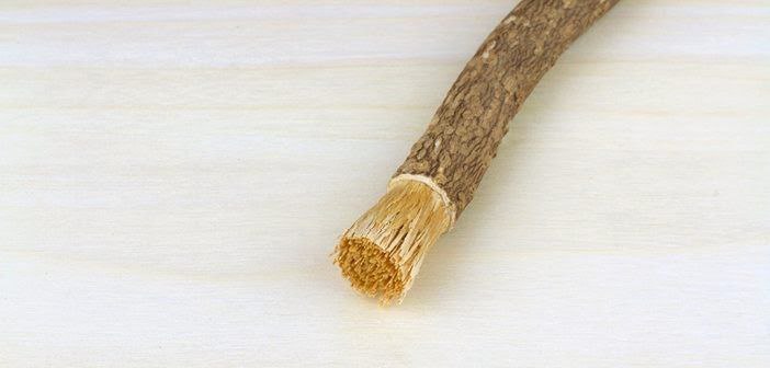 Hazreti Âişe Radıyallahu anhâ şöyle dedi:

“Peygamber sallallahu aleyhi ve sellem evine girdiği zaman ilk önce dişlerini misvaklardı.” (Müslim, Tahâret, 43)