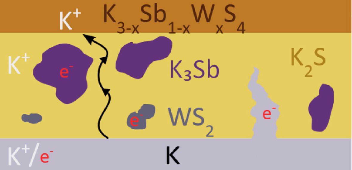 Jelena Popović-Neuber tweet media