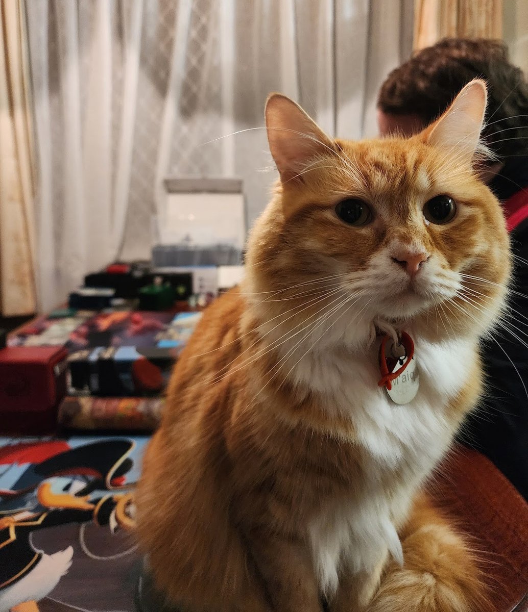 MTG players, I need your help.

How should I deal with the Big Fluffy Orange Cat spell? Removal doesn't work as his cuteness seems to provide too much protection.