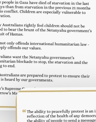 DougCameron51's tweet photo. Bob Carr and Ed Husic marching tomorrow in support of Palestinians and against the genocide, unlawful killings and starvation imposed on Gaza by Trump and Netanyahu.
Bravo! Labor luminaries with courage, morality and conviction! https://t.co/wd45ulptO0