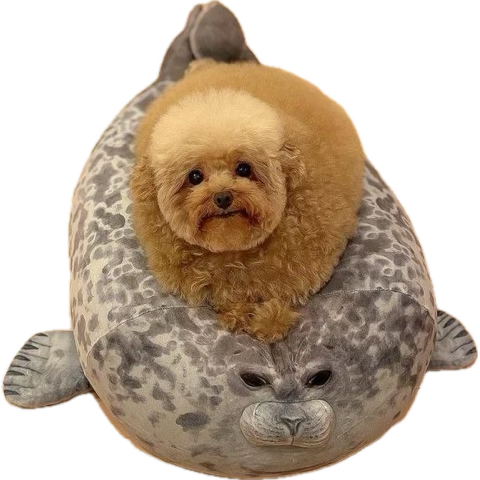 RAHHHHHH I SUBMITTED MY FINAL ESSAY AND MY HEADD HURTS