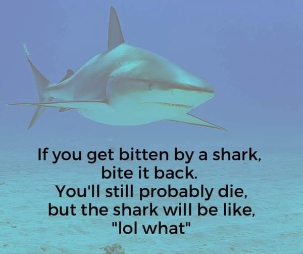 OrwellNGoode's tweet image. 