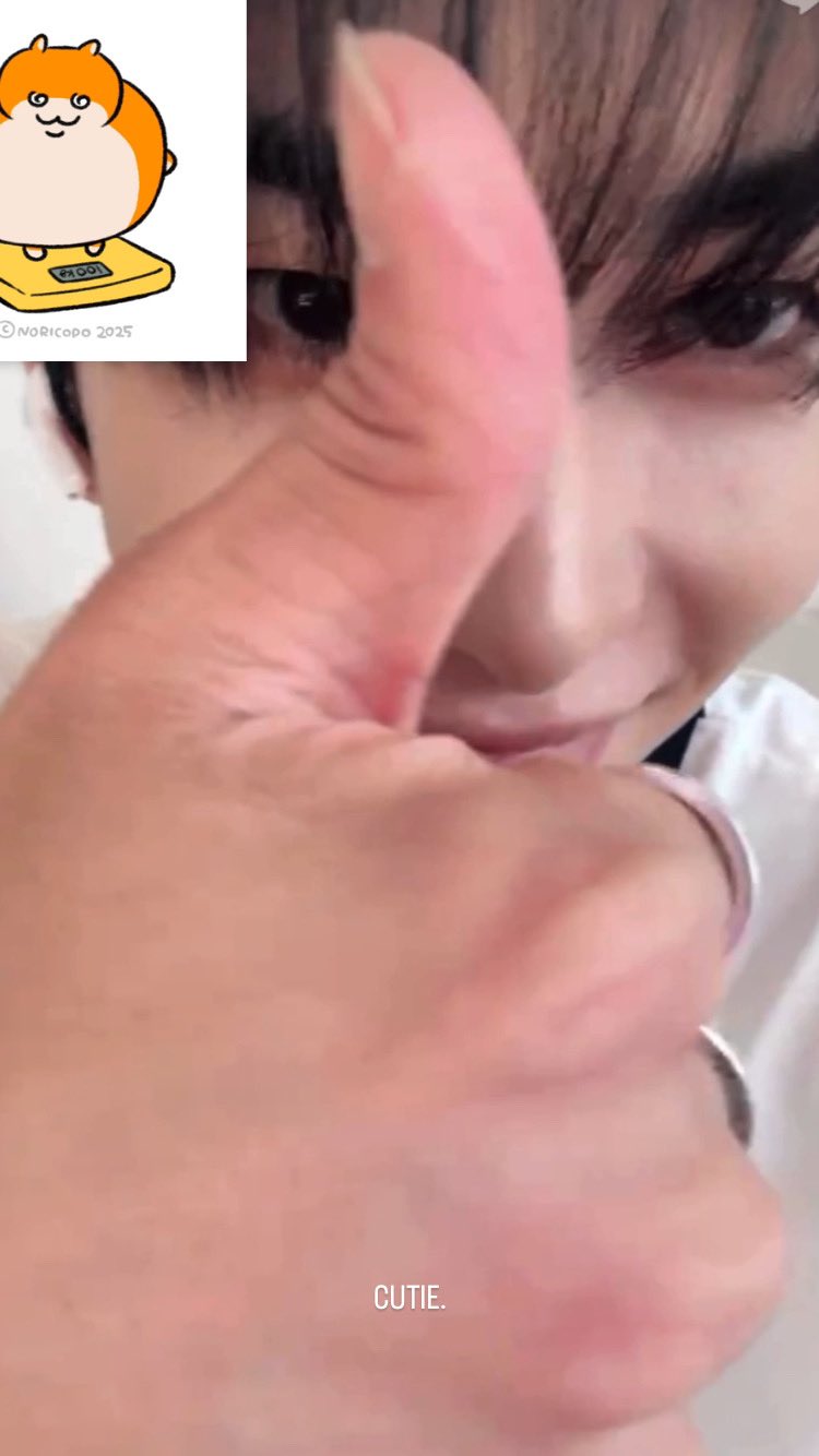 ♡*⃝̣◌⑅⃝miiiiii‪*:..♡様♡ _とうふ on X: 