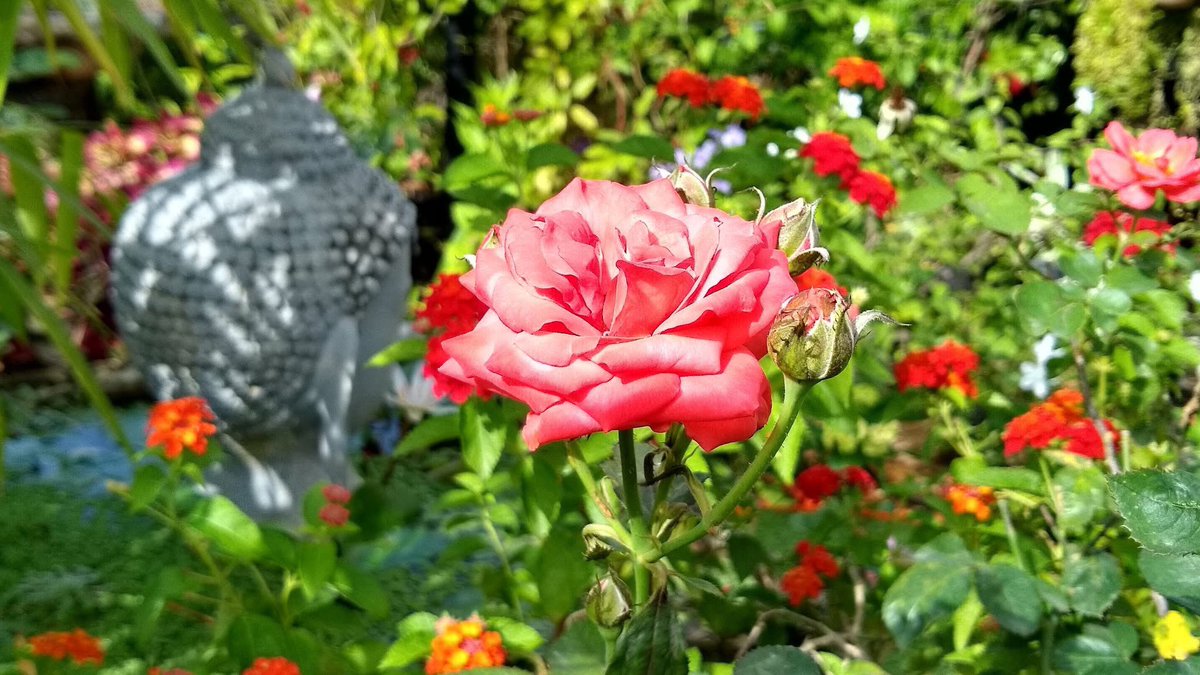 Have a good day 🥰