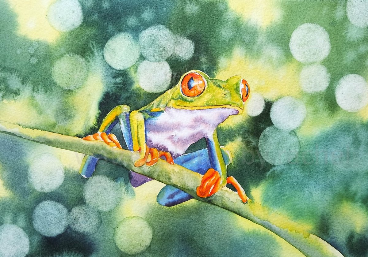 Elidanza's tweet image. "I have heard tree frogs in an orchestration as complicated as Bach singing in a forest lit by a million emerald fireflies"
Gerald Malcolm Durrell
Happy Saturday x
#watercolour #bokeh #watercolor #treefrog #watercolourpainting #greens #wildlife #inspiration #art #frogs #light