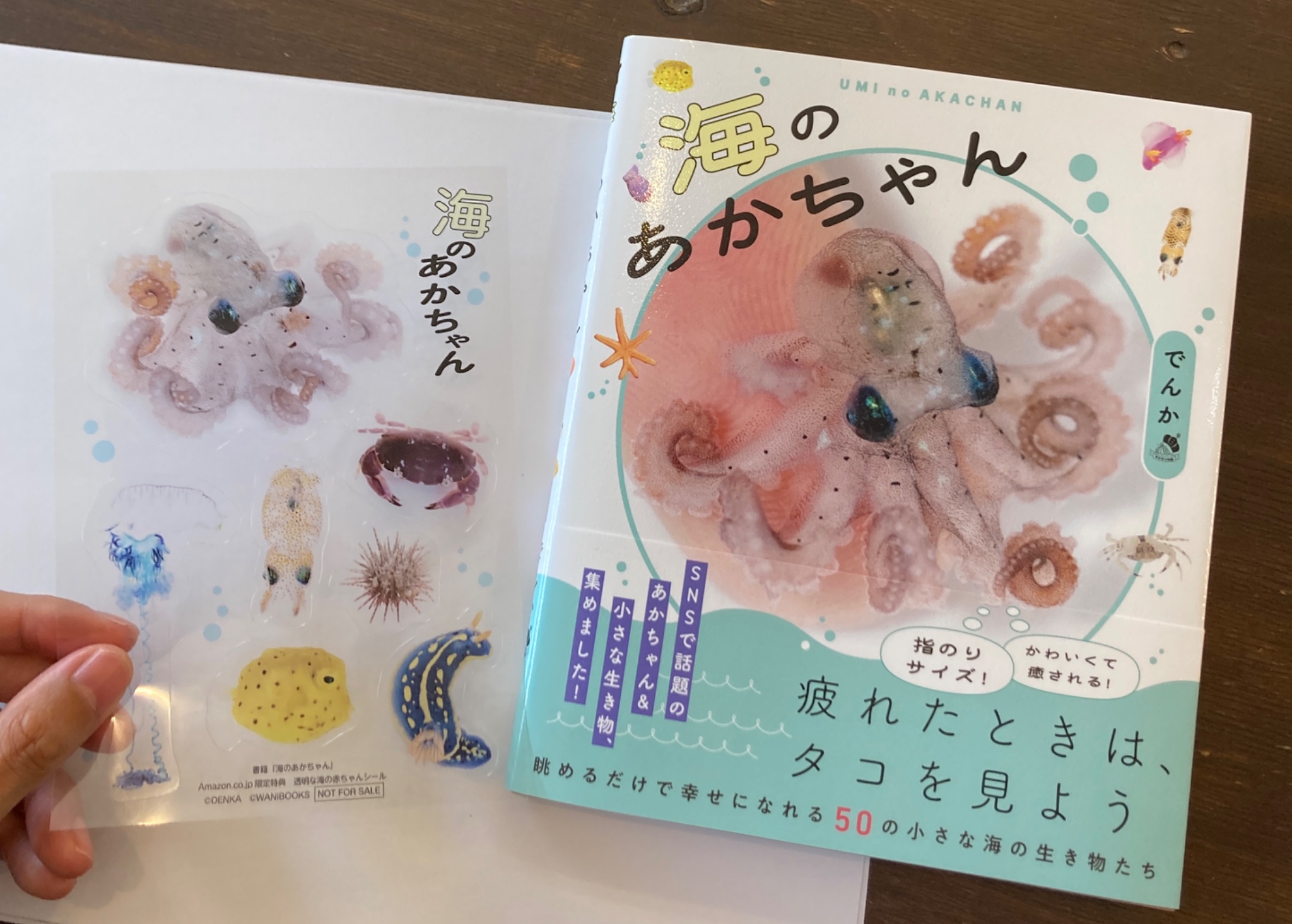 さかなページ！ でんか@『海のあかちゃん』『ヤドカリ探索図鑑』8月発売