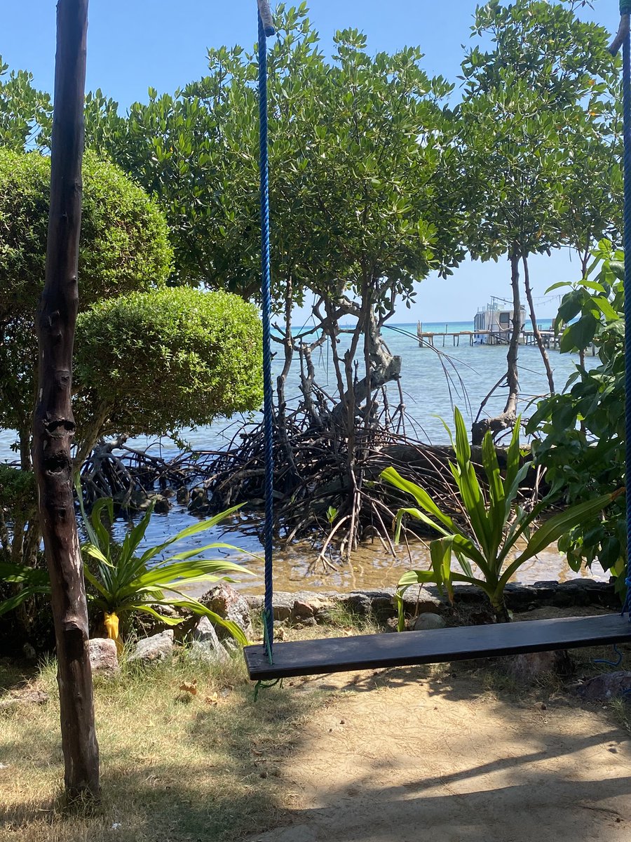 bianca_cappa's tweet photo. La vedete quella barchetta lì? È la mia stanza… con vista!
E il pie dan l’eau ha fatto un discreti upgrade.
#viaggiaconMe #nontenepentiresti https://t.co/T57GxtyoZg