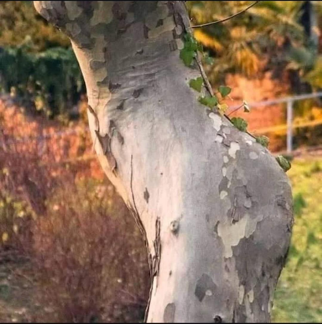 اخخخخخ بس صرت اشوف كل الاشياء كذا