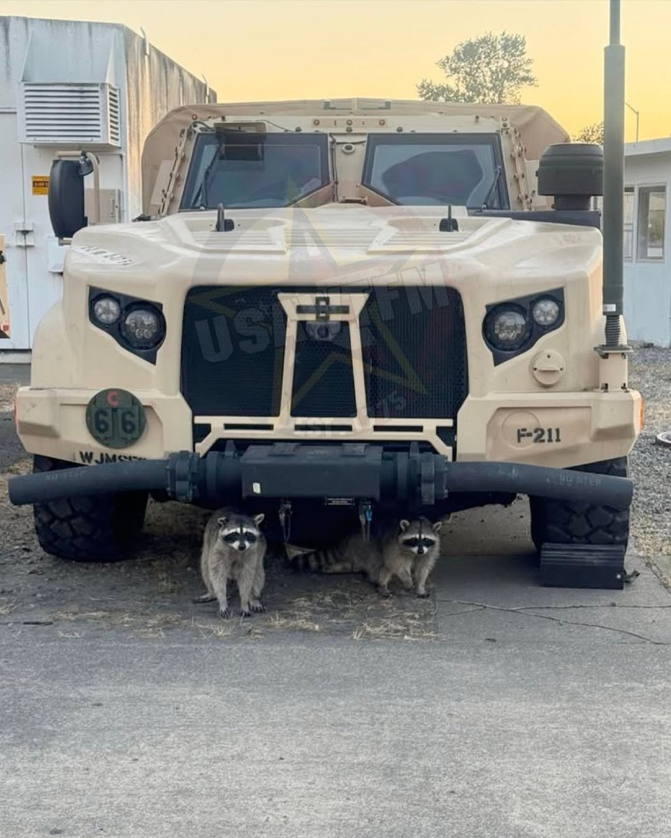 U.S Army WTF! moments tweet media