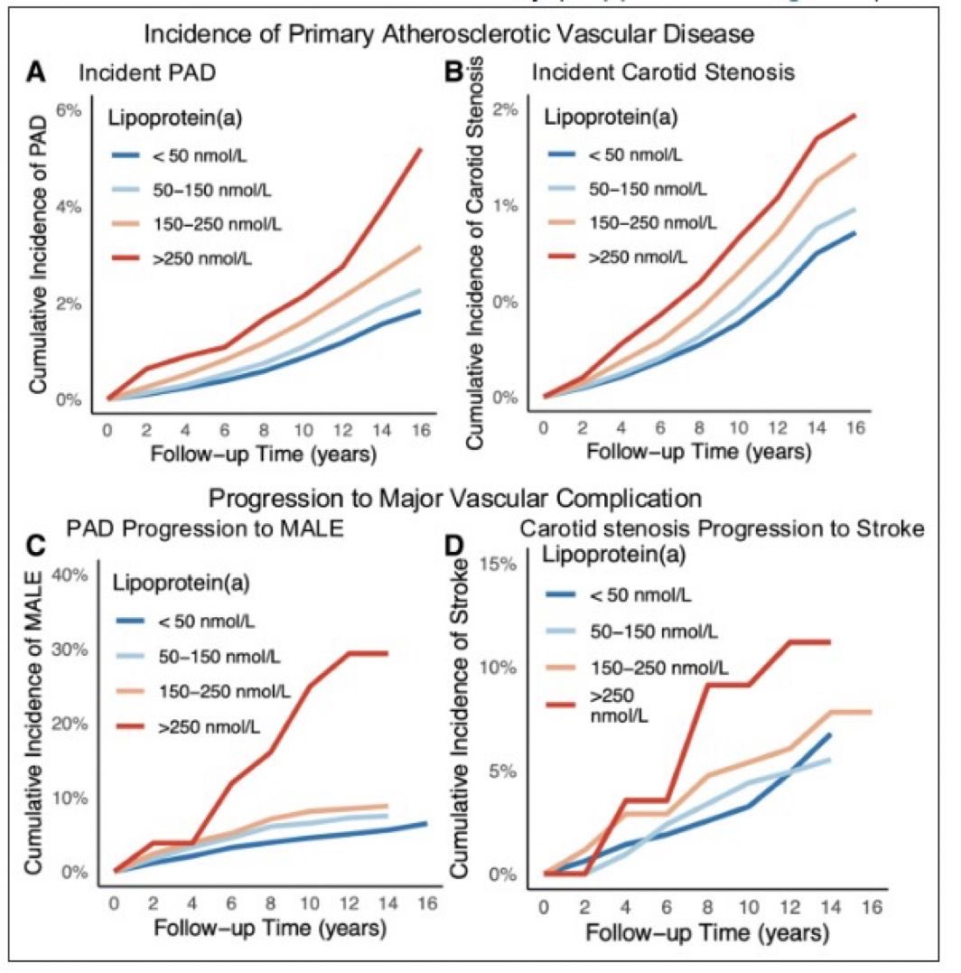 Evaluation of Lipoprotein(a) as a Prognostic Marker of Extracoronary Atherosclerotic Vascular Disease Progression

High concentrations of Lp(a) are associated with both incident extracoronary atherosclerotic vascular disease and progression to major complications