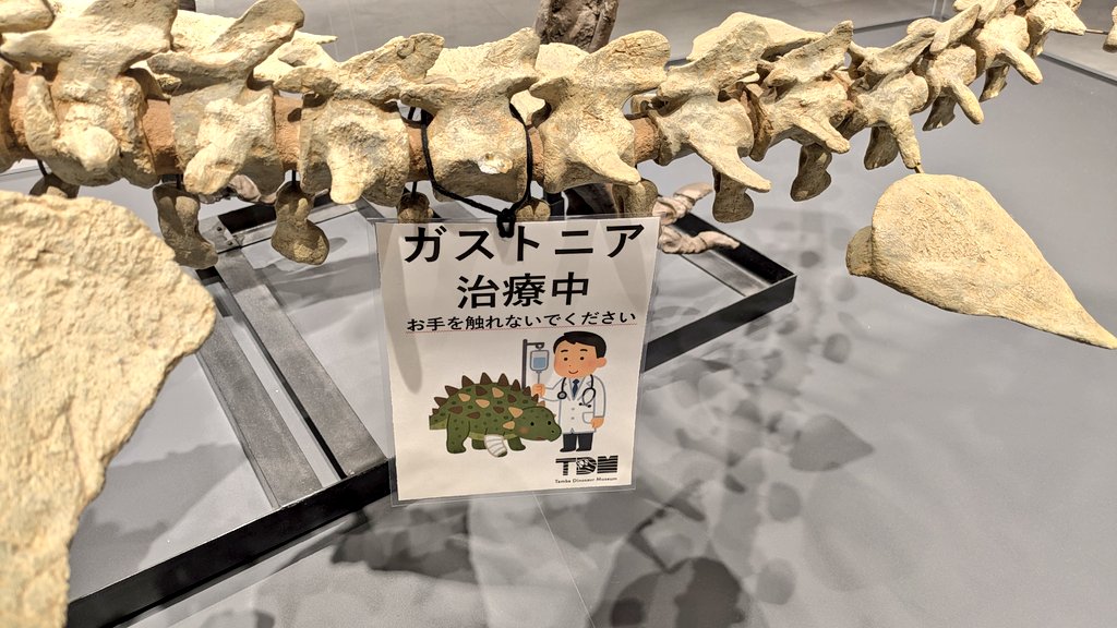 ガストニアが骨折のため、現在治療中です。
標本の保護の観点から展示物には触れないよう、よろしくお願いします。
皆さまの優しい見守りが、ガストニアにとって、何よりも薬になります。
