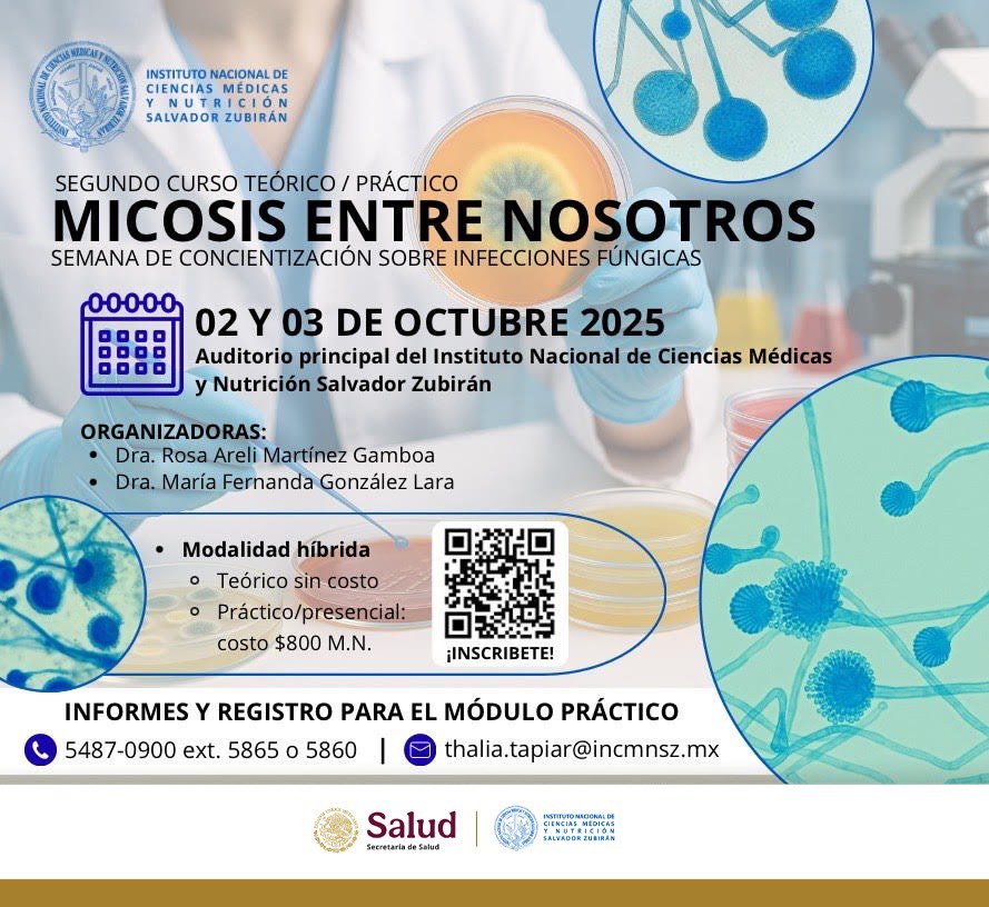 Fer Gonzalez Lara tweet media