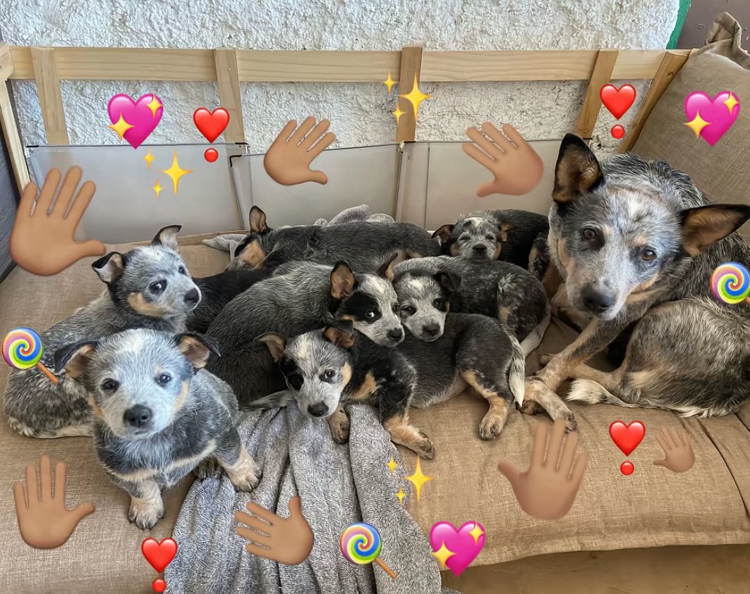 twaniimals's tweet photo. https://t.co/2MDfETYA5l