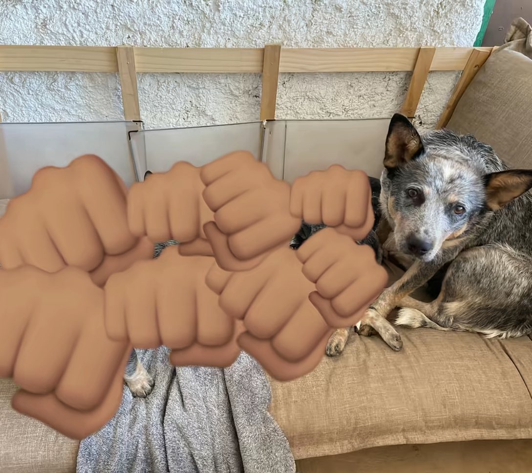 twaniimals's tweet photo. https://t.co/2MDfETYA5l
