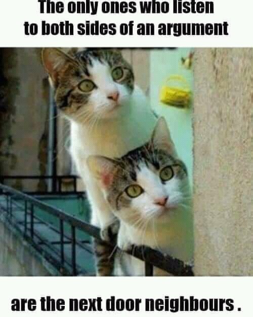 ChampneyLisa's tweet photo. The neighbors #CaughtInTheMiddle of an argument. 🤫🤭 https://t.co/w4Sv30kwGB