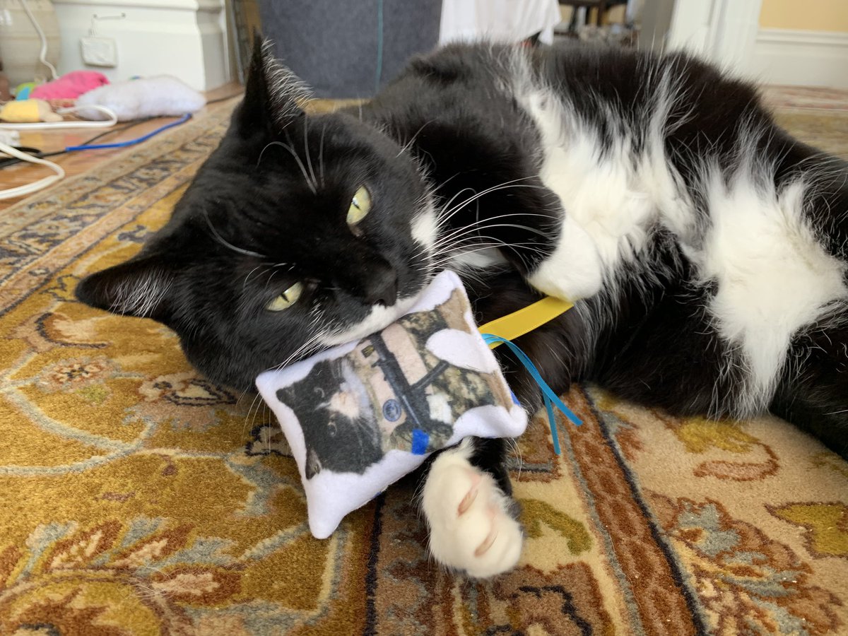 Iryna Kwasny Standing With Ukraine ๐บ๐ฆ๐ฑ๐บ๐ฆ (@iakwasny) on Twitter photo My dear BFF Oksanka crossed the rainbow bridge today. I know there are many creature fellas there to greet her. Iโm laying low for a few days. Please donโt forget the Ukrainian animal helpers like <a href="/catsonmars_ua/">Cats on Mars ๐บ๐ฆ</a> and others. My dear BFF Oksanka crossed the rainbow bridge today. I know there are many creature fellas there to greet her. Iโm laying low for a few days. Please donโt forget the Ukrainian animal helpers like <a href="/catsonmars_ua/">Cats on Mars ๐บ๐ฆ</a> and others.