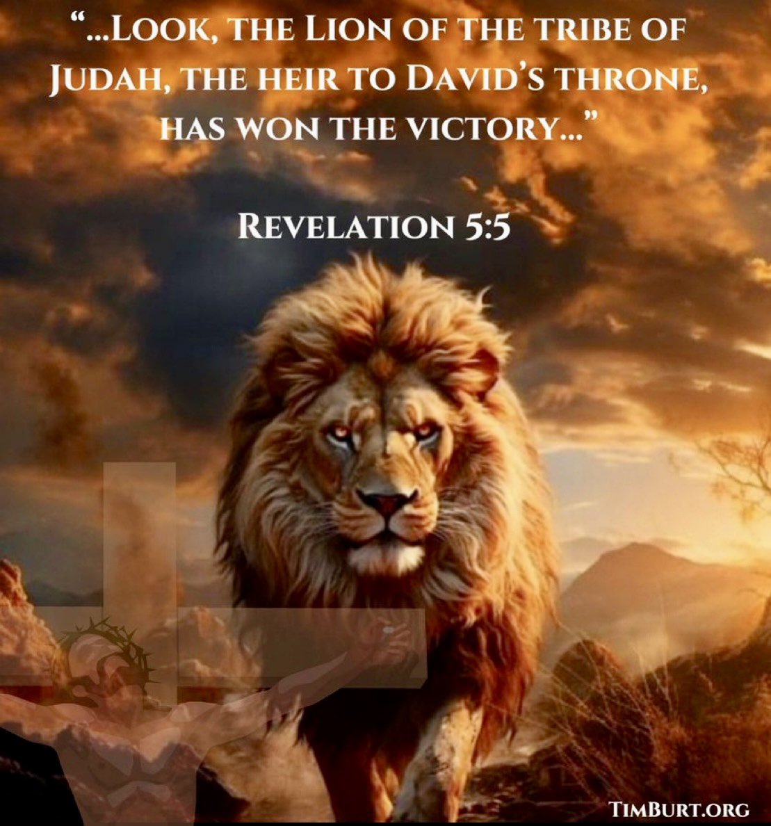 Timothy Burt (@timburt) on Twitter photo 