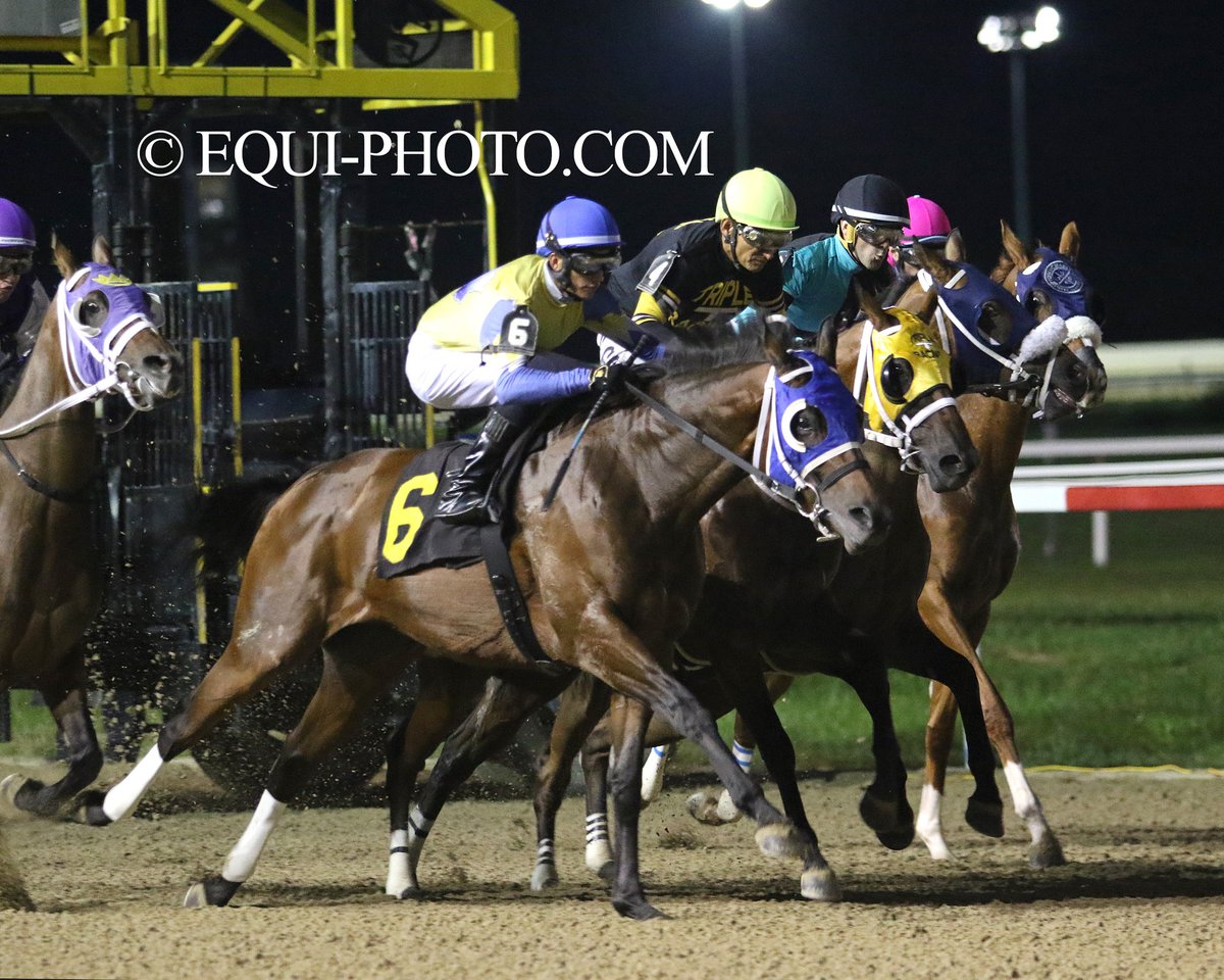 Pa HBPA (@pa_hbpa) on Twitter photo Friday at <a href="/HollywoodPenn/">Hollywood Casino at Penn National Race Course</a>, no. 6, Warrior's Defense, won the 7th race, completing a 4-win night for trainer Brandon Kulp!
The <a href="/PA_PHBA/">PA Bred</a> mare was bred by co-owner Warrior's Reward, LLC, is co-owned by Flat Out Racing & gave Angel R. Rodriguez a riding double.
📸: Equi-Photo Friday at <a href="/HollywoodPenn/">Hollywood Casino at Penn National Race Course</a>, no. 6, Warrior's Defense, won the 7th race, completing a 4-win night for trainer Brandon Kulp!
The <a href="/PA_PHBA/">PA Bred</a> mare was bred by co-owner Warrior's Reward, LLC, is co-owned by Flat Out Racing & gave Angel R. Rodriguez a riding double.
📸: Equi-Photo