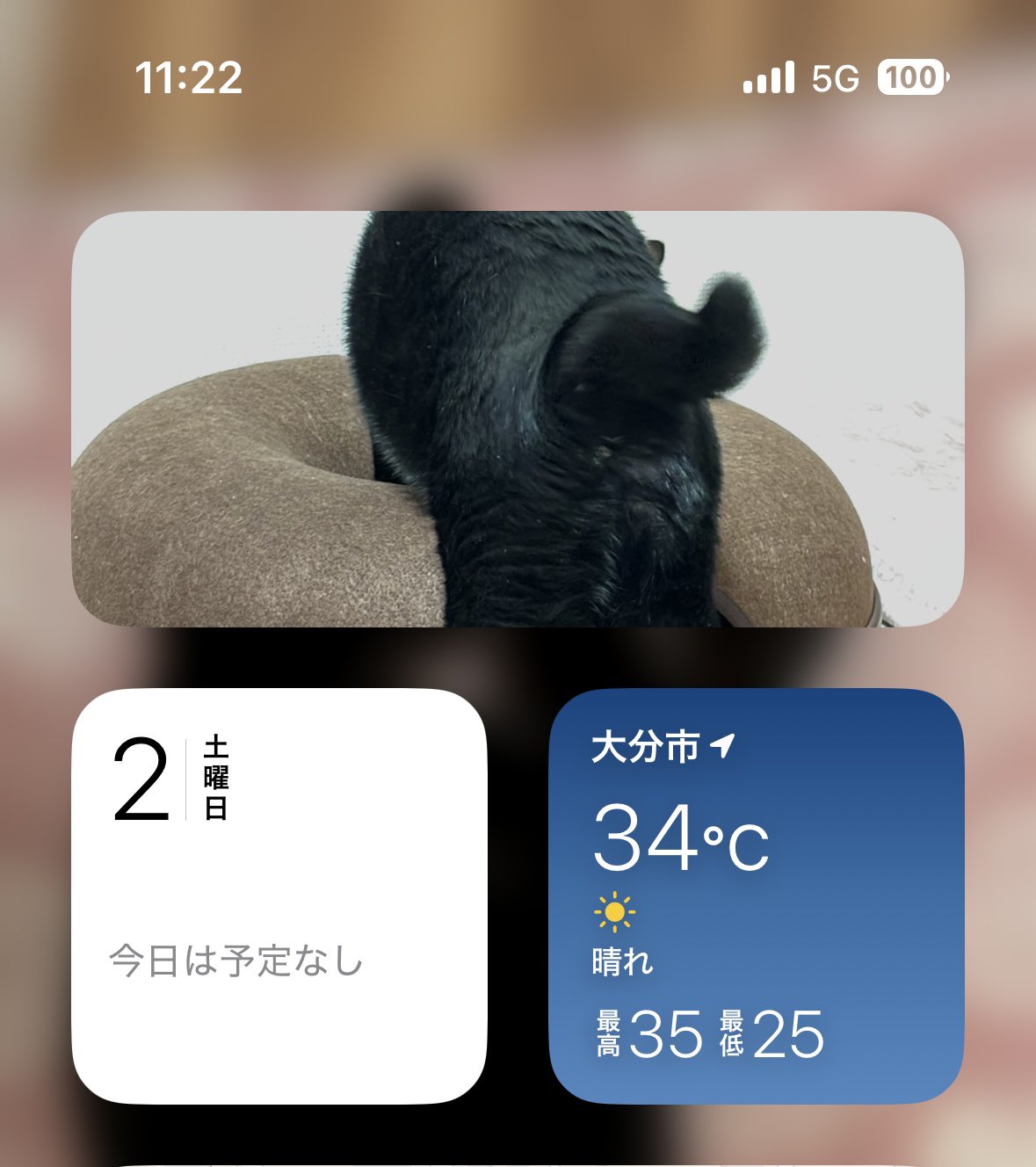 あさり様♡ありがとうございます♡ 黒猫あさり on X: 