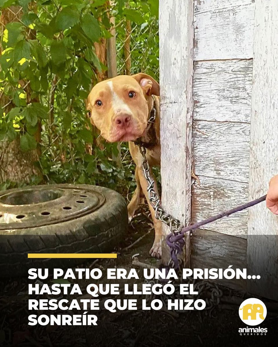 🥺🥺🥺