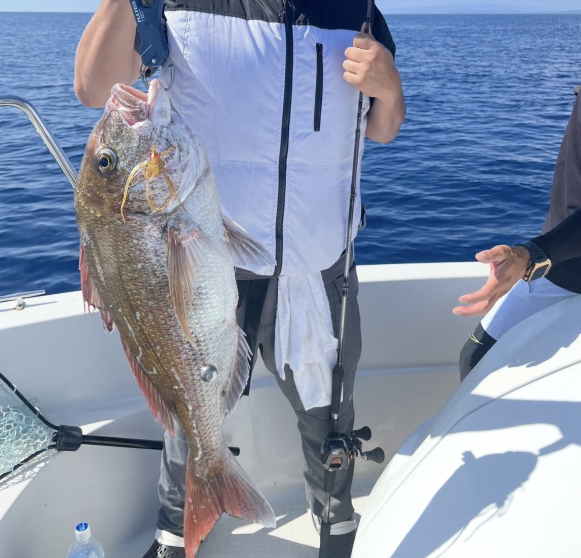 知り合いの船でデカ鯛とガンド釣れた!