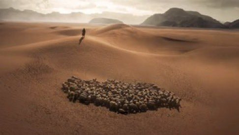 PJ Explained 𝕏 tweet media