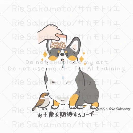 家に人が来たときのコーギーあるある/お土産を期待するコーギー(4/11) 
