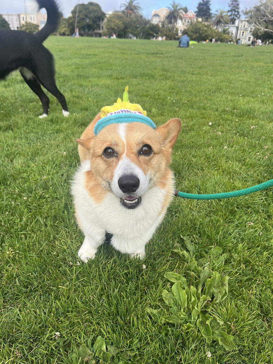 tinyducks's tweet photo. it’s basil’s 5th birthday today! everyone say happy birthday basil https://t.co/wl4ynWHtsn
