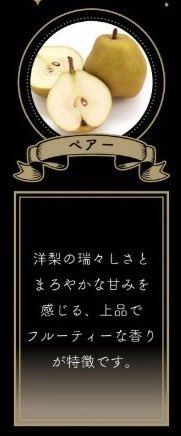 NOZ COLLABORATION on X: 