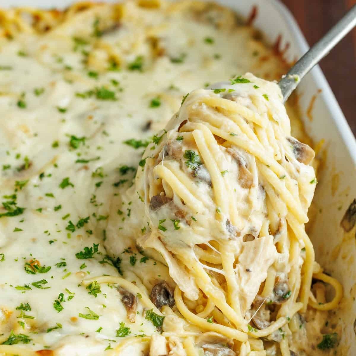 ann_ann886's tweet image. Creamy, cheesy Chicken Tetrazzini 🍝🔥 A comfort food classic loaded with tender chicken, mushrooms &amp;amp; baked to perfection. The ultimate family-favorite casserole! #ComfortFood #ChickenTetrazzini #DinnerIdeas
Full Recipe: omniera.net/FDVEr