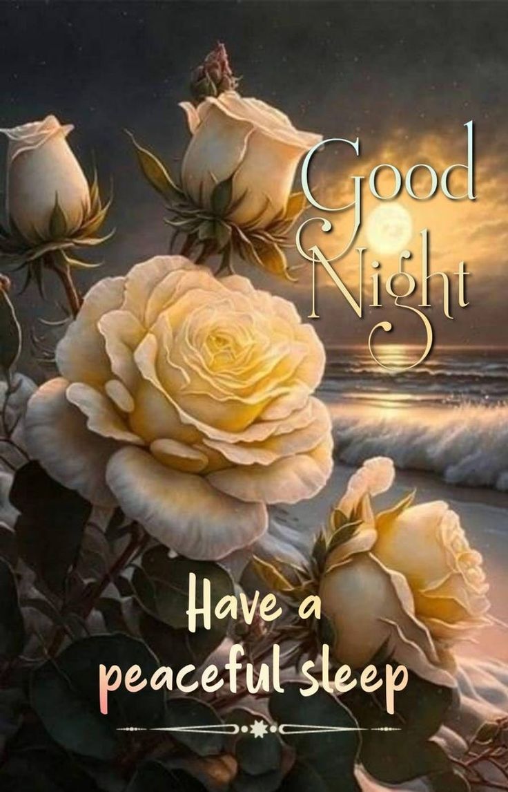 Goodnight everyone and God bless you 😴🙏