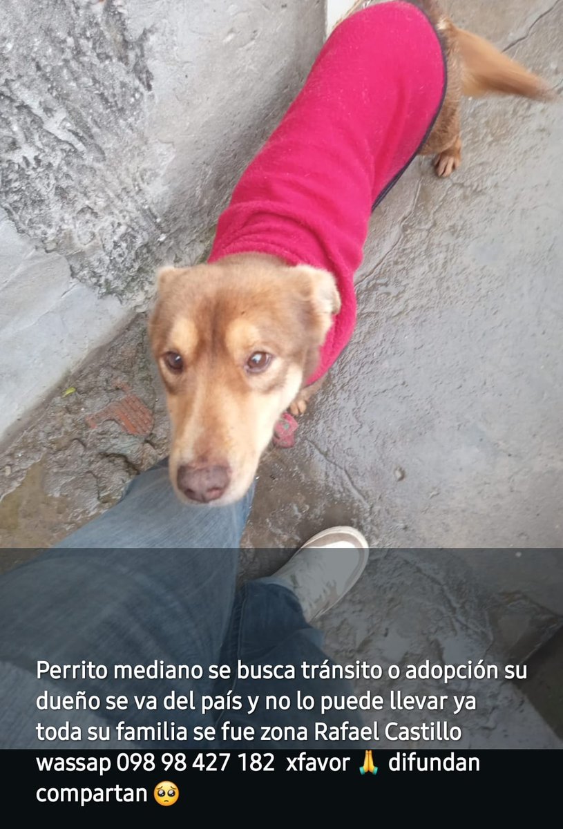 Patri tweet media