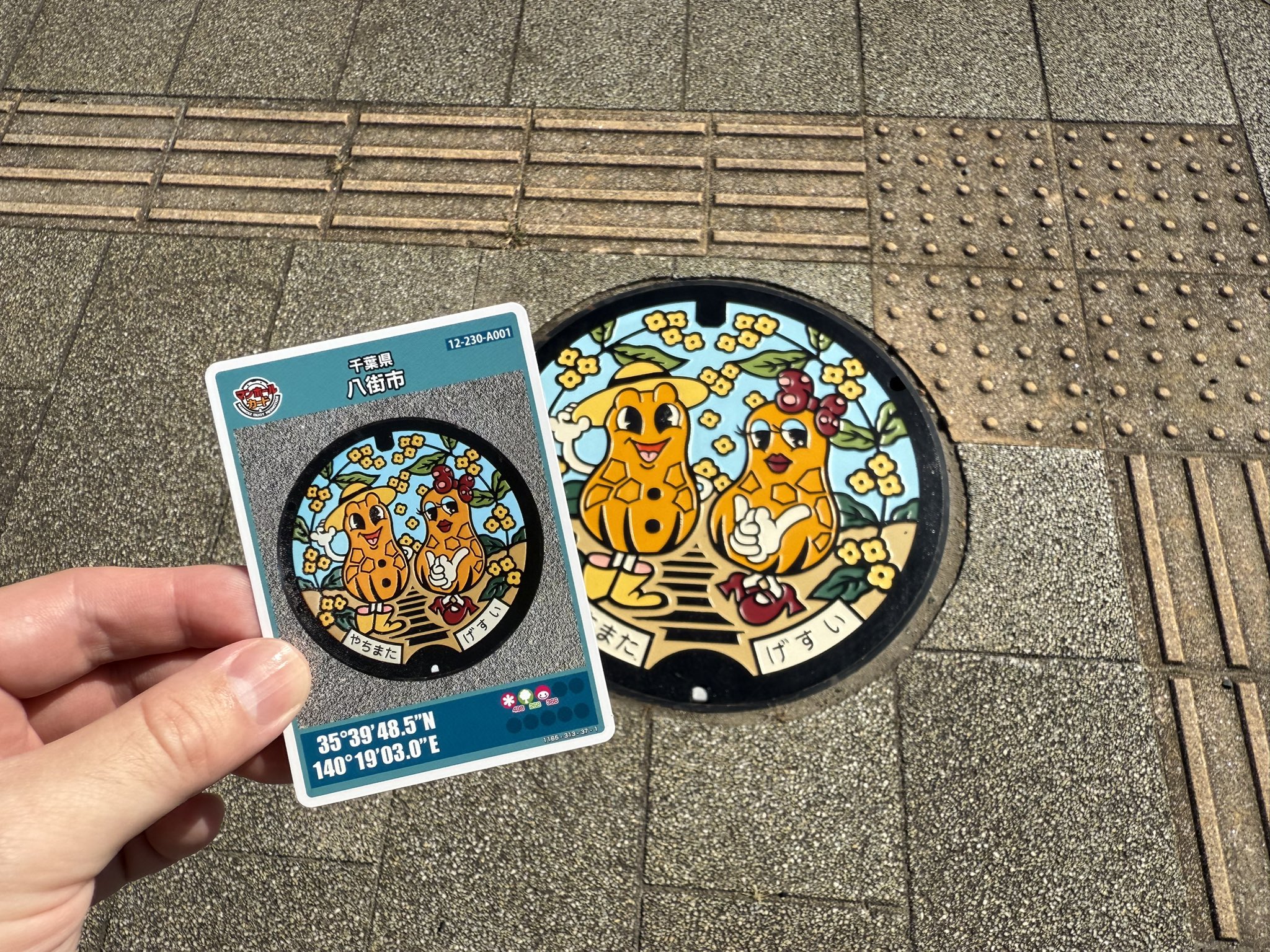 マンホール 交野市のマンホール