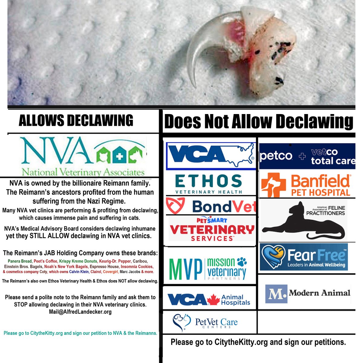 City_the_kitty's tweet photo. . @NVApets is owned by the billionaire Reimann Family. The Reimann family's legacy of suffering didn't end—it just changed victims. https://t.co/YfeaZi8je2 #nvapets #cats #panera The Reimanns also own @krispykreme @panerabread @peetscoffee @coty &amp; many more. #kittens #declawing https://t.co/bzv4mZ4uNs