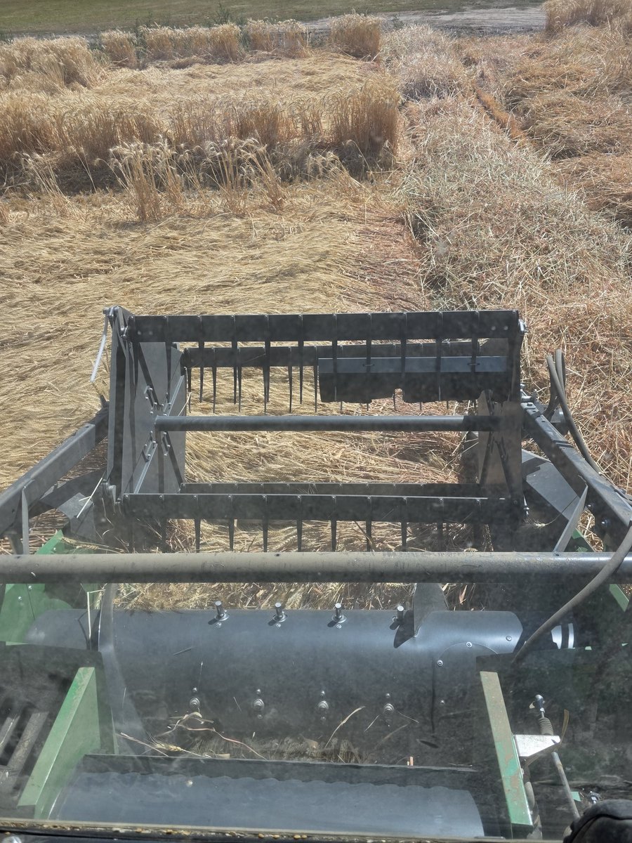 scookh's tweet photo. Harvest had begun! This wheat was 200 bushels per acre and laying on the ground! Very thankful to have a closed cab, finally! https://t.co/1tSh6wT88c