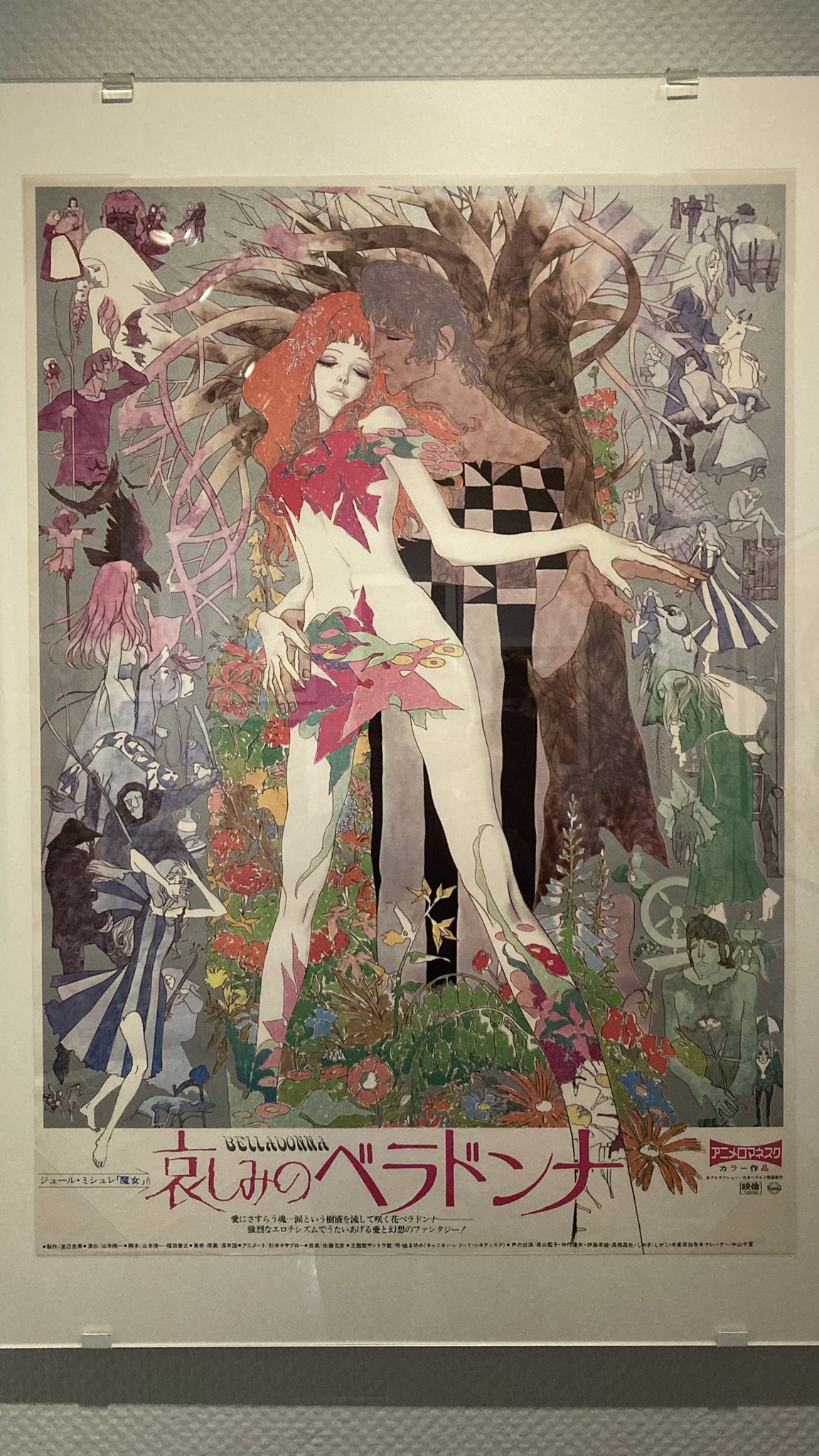 哀しみのベラドンナ　ポスター 哀しみのベラドンナ (1973) - ポスター画像 — The Movie