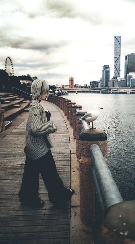 Seagull.🕊️
#MRPhoto